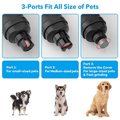 Casfuy Dog Nail Grinder with 2 LED Light - New Version 2-Speed Powerful Electric Pet Nail Trimmer Professional Quiet Painless Paws Grooming & Smoothing for Small Medium Large Dogs and Cats (Grey) - color: C-Grey