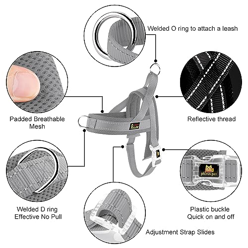 Plutus Pet No Pull Dog Harness with Breathable Mesh Padded, Adjustable Reflective Escape Proof Dog Harness, Quick Fit Dog Vest Harness for Small Medium Large Dogs(XXS, Gray) - color: Gray, size: XXS: chest 11.8"-15"