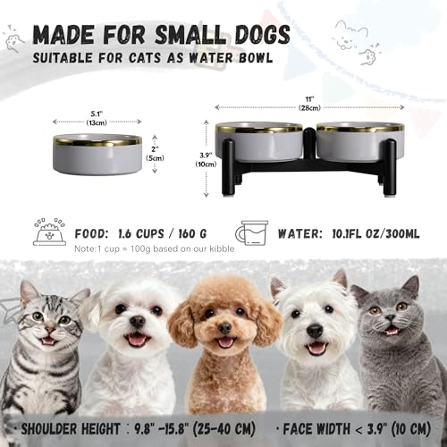 Elevated Ceramic Dog Bowl Set - Double Dishes with Stainless Steel Stand – Raised Feeding Bowls for Cats and Small Dogs - Food & Water Set - 5" / 1.6 Cups (160 g / 300 ml) - Gray - color: Gray, size: S