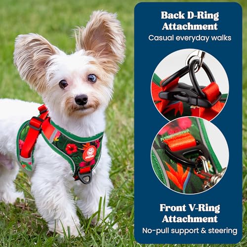 Step in Extra Small Dog Harness and Puppy Harness – No Pull No Choke Mesh Vest with Front & Back Clips for XS Small Breed Dogs (Tropical Paradise, XS) - color: Tropical Paradise, size: XS