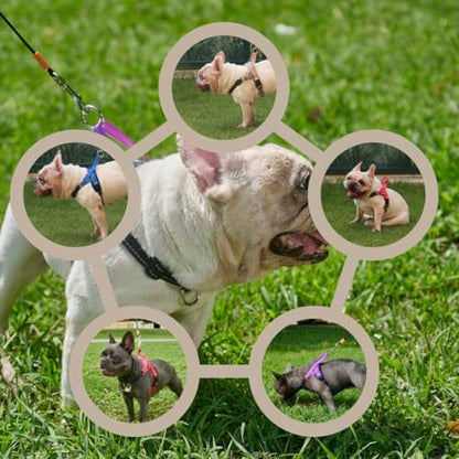 No Pull Dog Harness with Handle, Rear & Front Clip, Adjustable, Easy On/Off, Reflective, Lightweight & Mesh Padded, No Choke. Dog Harness Small Sized Dog (Purple-Black, Small) - color: Purple-Black, size: Small
