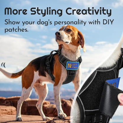 Eagloo Dog Harness Small Sized, Easy Wearing with 3 Buckles, Adjustable No Pull Pet Harness with MOLLE System, No Choke Reflective Vest with Control Handle, Black, S - color: Black, size: Small