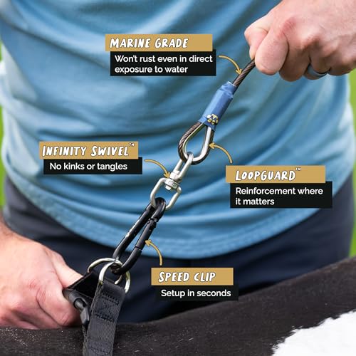 ROYAL PAW Dog Tie Out Cable and Stake 10ft - for Large Dogs up to 300 lbs - Heavy Duty Tether and Dog Stake for Yard, Beach & Camping Outside (Black, L/XL - 10ft) - size: L/XL - 10ft