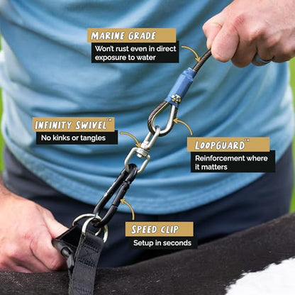 ROYAL PAW Dog Tie Out Cable and Stake 10ft - for Large Dogs up to 300 lbs - Heavy Duty Tether and Dog Stake for Yard, Beach & Camping Outside (Black, L/XL - 10ft) - size: L/XL - 10ft