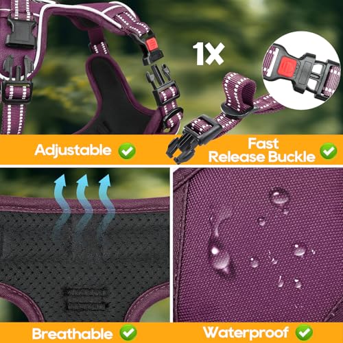Timos Dog Harness Small Sized, No Pull Pet Harness with Neck Lockable Snap, No Choke Front Clip Reflective Vest, Adjustable Metal Rings 3 Buckles, Easy Control Handle for Small Dogs Grape Purple S - color: Lock Grape Purple, size: Small (Pack of 1)