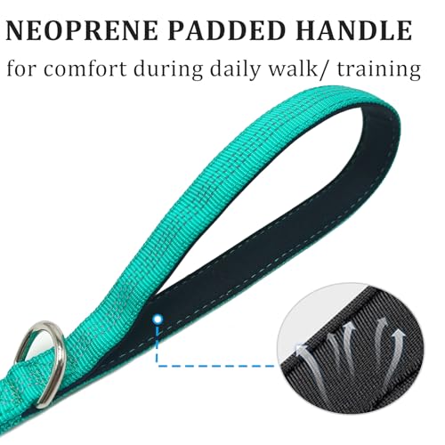 WYuZe 4FT Bungee Dog Leash Shock Absorption Handle for Strong Small Dogs | Stretch to 5.5ft, Soft Padded Handle, Reflective 3/4" Width Nylon Leash for Anti-Pull Training Walking Hiking, Teal - color: Teal