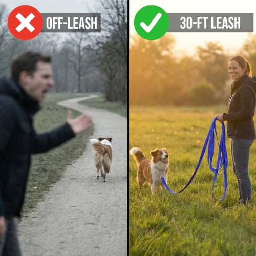 Dog Training Kit & Puppy Starter Set with 30ft Long Leash – Complete Recall System w/Magnetic Treat Pouch, Clicker, Collapsible Bowl & Waste Bags – Professional Tools (Navy Blue) - color: Complete Recall System - Navy Blue