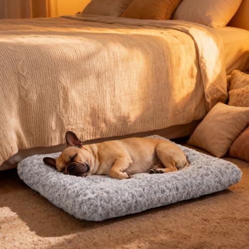 Dog Bed Medium Size Dog Deluxe Plush, Washable Medium Dog Beds, Indestructible Dog Crate Pad, Anti-Slip Soft Pet Bed, Comfy Kennel Pad for Large, Jumbo, Small, Medium Dogs, 29"x 21"-L, Light Gray - color: Light Grey, size: 29"L x 21"W x 3"Th
