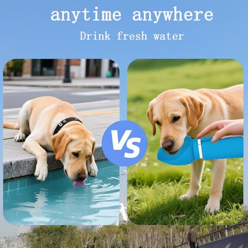 Portable Collapsible Dog Water Bottle - 550ml, Large Wide-Mouth Drinking Bowl, Ideal for Small and Large Dogs on Walks and Outdoor Activities (Blue) - color: Blue