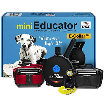Educator ET-302 Black Mini E Collar for Dog Training with Remote - 1/2 Mile Range, Waterproof, 100 Blunt Stimulation Levels, Tone or Vibration Mode, Night Light for Small, Medium & Large Dogs (2 Dogs) - size: 2-Dog (ET-302 Black)