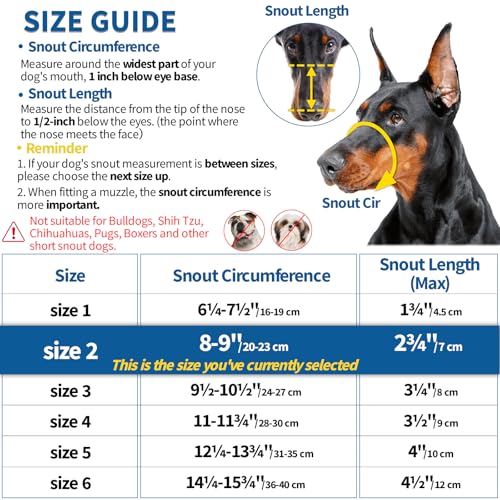 BARKLESS Dog Muzzle, Basket Muzzle Anti Biting Chewing, Sturdy Lightweight Cage Mouth Cover for Small Medium Large Sized Dogs, Allows Panting Drinking, Suitable for Grooming Trimming Training - size: 2 (Snout 8-9")