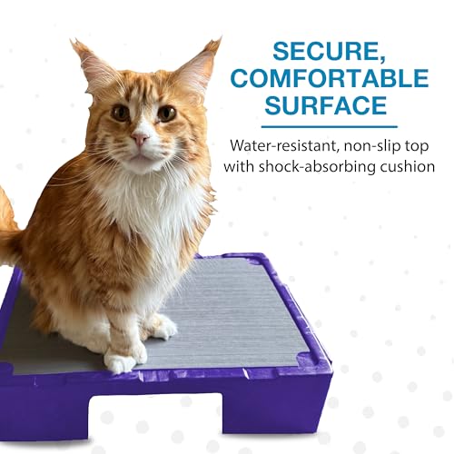 Blue-9 KLIMB Jr. Professionally Designed Dog Training Platform and DIY Guide for Behavior Basics, Made in The USA, Purple - color: Purple
