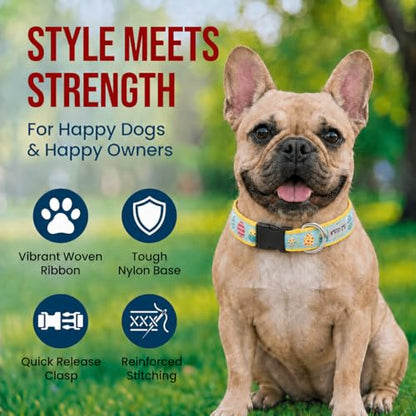 THE WORTHY DOG Spring Holiday Easter Eggs Dog Collar – Durable Nylon, Woven Ribbon, Quick-Release Buckle, Nickel D-Ring – Blue, Medium - color: Easter Eggs - Blue, size: Medium