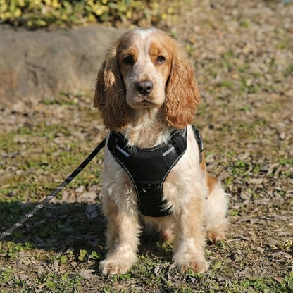 Amazon Basics No-Pull Dog Harness, Adjustable Front Clip, Escape Proof Tactical Vest, Medium, Black - size: Medium