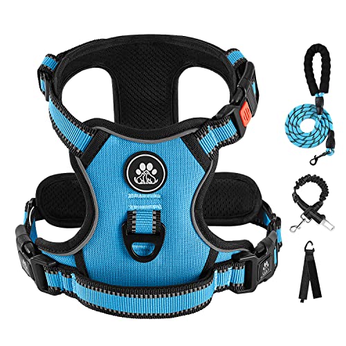 IVY&LANE No Pull Dog Harness for Medium Dogs, Dog Vest Harness with Leash, Safety Belt and Storage Strap, Fully Adjustable, 360° Reflective Strip, Soft Handle (Blue, M) - color: Blue, size: Medium