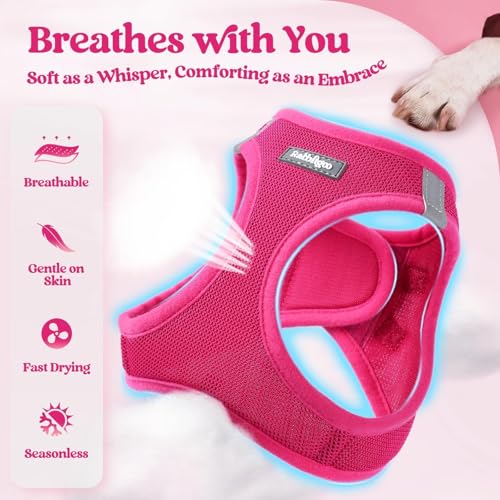 rabbitgoo Dog Harness Small Sized and Leash Set, Step in Soft Light Puppy Vest, Breathable Mesh Pet Harness, Reflective for Safe Easy Walking, Rosa Red XXXS - color: Rose Red, size: Xxxs (chest: 10.8 - 11.8")