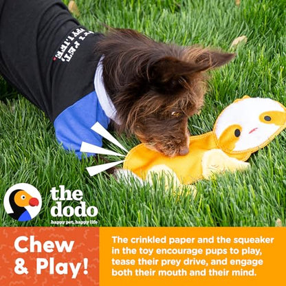 The Dodo Crinkle Flattie Sloth Dog Toy; Crinkle Flattie Durable Dog Toy, Durable Toys for Dogs, Stuffingless Dog Toys, Flat Dog Toys, Crinkle Dog Toys, FF22053 - color: Sloth Flattie, size: 1 Count