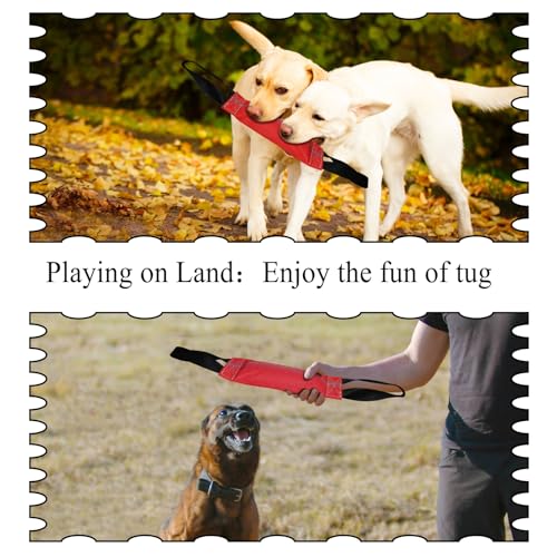 Floating Dog Toy for Pool, Medium & Large Dogs, Lightweight Interactive Tug of War, Fetch & Retrieving Water Toy for Beach, Dock Diving & Outdoor Training