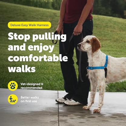 PetSafe Easy Walk Deluxe Dog Harness, No Pull Dog Harness – Perfect for Leash & Harness Training – Stops Pets from Pulling and Choking on Walks – Medium, Ocean - color: Ocean, size: Medium (Pack of 1)