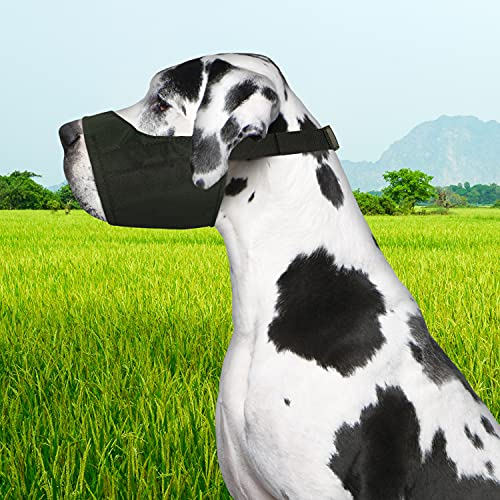 Four Paws Quick Fit Dog Muzzle, Black, Size 5 - size: 5-X-Large Regular Snout