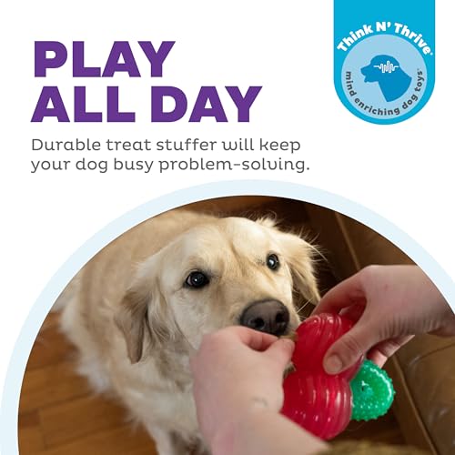Outward Hound Gummiez Cherries Dog Toy & Treat Stuffer, 4″ x 4″ Cherry-Scent Interactive Chew for Dogs, Promote Healthy Teeth, Gums & Mental Enrichment, Reduce Boredom & Support Dental Health - color: Cherries