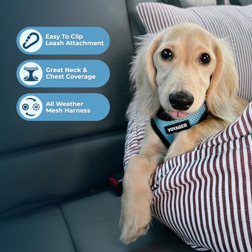 Best Pet Supplies - All Weather Mesh / Plush, Reflective, No Pull Harness for Small, Medium Dogs, Cats - Secure with Hook & Loop Fastener, Buckle, Double D-Rings - Baby Blue/Black Trim, S - color: Harness (Baby Blue/Black Trim), size: S (Chest: 14.5 - 16"