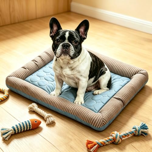 RPGT Summer Pet Self Cooling Mat No Electricity Required Kennel Bed Pad 18"x 22" Sleeping Mat Keeps Dogs and Cats Cool Ideal for Home and Travel - size: Medium