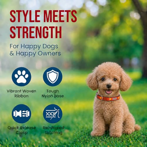 THE WORTHY DOG Spring Holiday Chick Magnet Dog Collar – Durable Nylon, Woven Ribbon, Quick-Release Buckle, Nickel D-Ring – Red, X-Small - color: Chick Magnet - Red, size: X Small