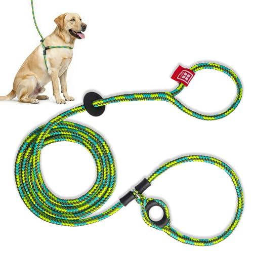 Harness Lead No Pull Dog Harness and Leash Set, Anti Pull Dog Harness, One-Piece Cushioned Rope Safely Prevents Escaping and Pulling (Medium/Large, Rainforest) - color: Rainforest (Olive/Lime/Turquoise)
