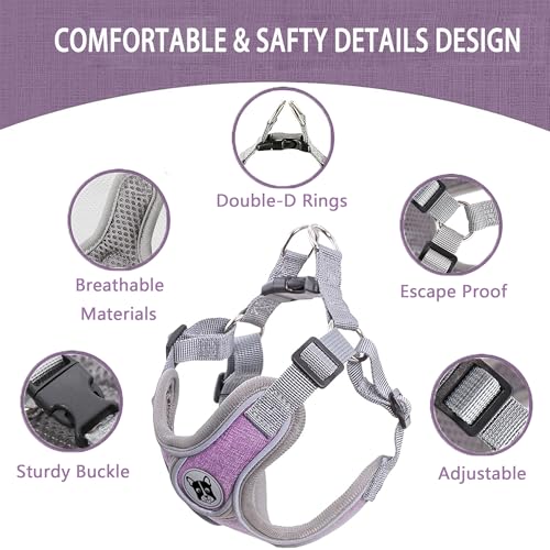 Puppy Harness and Leash Set,No Pull Adjustable Step in Soft Mesh Vest Harness,Easy Walk Reflective Pet Harness with Padded Handle for Walking Training Small Medium Large Dogs and Cats (Purple, XS) - color: Purple, size: XS