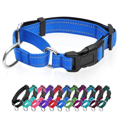 Reflective Martingale Dog Collars. Dog Collar with Quick Release Buckle. Adjustable Soft Padded Breathable Nylon Pet Collar Suitable for Puppies for Small Medium Large Dogs. - color: Blue, size: S:1" Wide for 12.5"-15.5" Neck