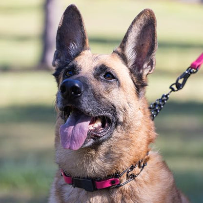 Herm Sprenger Black Stainless Steel Dog Collar with Quick Release ClicLock Buckle and Biothane Insert Training Collar Made in Germany (Passionfruit Pink, 25in x 4.0mm(Neck Size up to21-22in)) - color: Passionfruit Pink, size: 25in x 4.0mm(neck size up to2