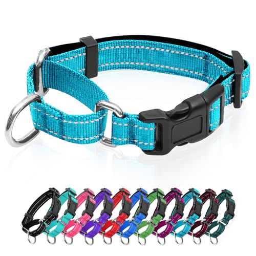 Reflective Martingale Dog Collars. Dog Collar with Quick Release Buckle. Adjustable Soft Padded Breathable Nylon Pet Collar Suitable for Puppies for Small Medium Large Dogs. - color: Azure Blue, size: S:1" Wide for 12.5"-15.5" Neck