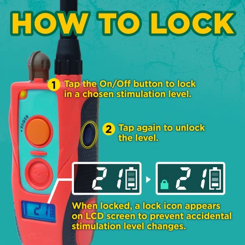 Dogtra E-Collar Tom Davis 280C Boost & Lock, Waterproof, 1/2-Mile Range Dog Training Collar with Remote, Rechargeable, 127 Levels, Vibration, Bungee, No Bad Dogs Trainer for Small, Medium, Large Dogs - color: Tom Davis 280C