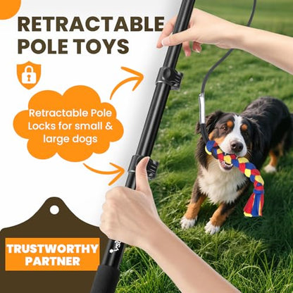 Ycozy Flirt Pole for Dogs Heavy Duty Interactive Toys Tug of War with Detachable 3 Replacement Rope Toys for Chase and Outdoor Exercise & Training for Small Medium Large Dogs (Pole - 40.6")