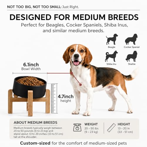 hjn Elevated Ceramic Dog Bowl/Raised Ceramic Dog Bowls with Bamboo Stand, 15°Slanted Raised Pet Feeder for Small Medium Dogs and Cats, Non-Slip Heavy Weighted Design (Black, 3.6Cup) - color: Black, size: 3.6Cup