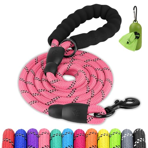 Joytale Dog Leash for Small Dogs, Heavy Duty Nylon Leashes with Comfortable Padded Handle and Highly Reflective Threads, Ideal for Walking and Training, Pink, 5'×3/8'' - color: Pink, size: 5FT×3/8'' (0~20 lbs)