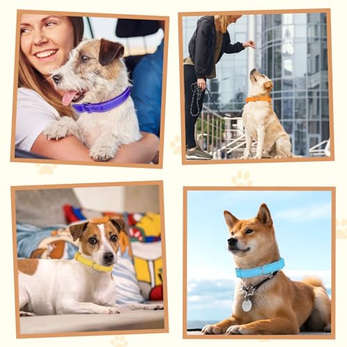 12 Pcs Martingale Collar for Medium Dogs Adjustable Pet Training Collar Reflective Dog Collar with Durable Metal Buckle Heavy Duty Nylon No Pull Martingale Collar for Small Medium Large Dogs, Large