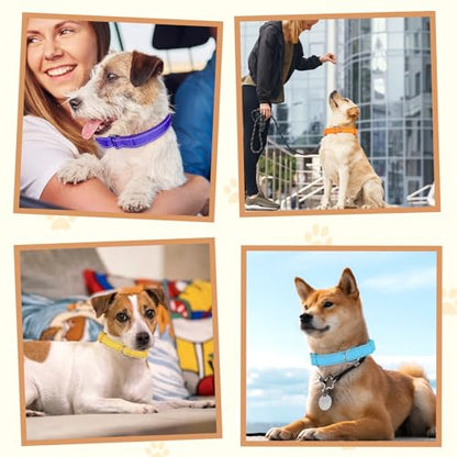 12 Pcs Martingale Collar for Medium Dogs Adjustable Pet Training Collar Reflective Dog Collar with Durable Metal Buckle Heavy Duty Nylon No Pull Martingale Collar for Small Medium Large Dogs, Large