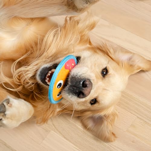 Outward Hound Tough Skinz Durable Squeaky Dog Toy with Two Tough Layers, Donut, Multicolor, Small - color: Donut, size: Small