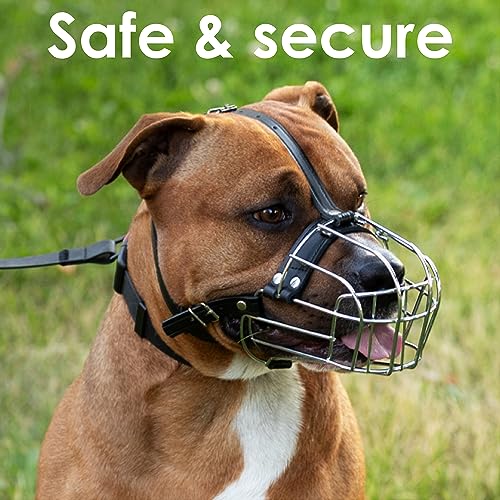 BRONZEDOG Pitbull Dog Muzzle Metal Mask Amstaff Wire Basket Pit Bull Adjustable Leather Straps for Large Dogs (Gold) - color: Leather, Gold
