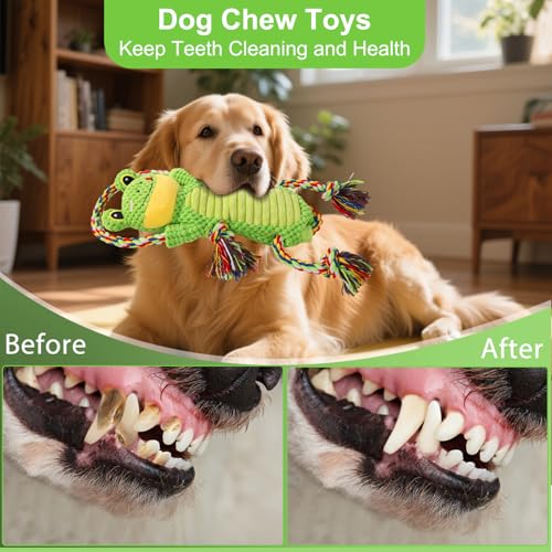 Drmstow Dog Toys for Aggressive Chewers - Interactive Plush Squeaky Toy with Crinkle Paper & Rope, Durable Chew Toys for Anxiety Relief, Small Medium Large Dogs - color: Green1