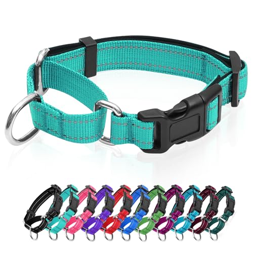 Reflective Martingale Dog Collars. Dog Collar with Quick Release Buckle. Adjustable Soft Padded Breathable Nylon Pet Collar Suitable for Puppies for Small Medium Large Dogs. - color: Green, size: XS:3/4" Wide for 11.5"-13.5" Neck