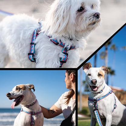 Wolfgang Heavy Duty, Adjustable Dog Collar with Quick Release Nylon Buckle for Walking & Training, BuenaOnda Print, Small - color: BuenaOnda Print, size: Small (5/8 Inch x 8-12 Inch)