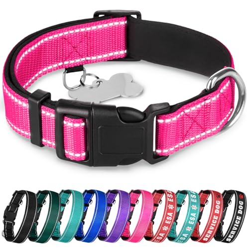 TECEUM Reflective Dog Collar – Hot Pink – L – Extra Soft Padding – Basic Nylon Pet Collar – Quick Release Buckle – Fits Small, Medium and Large Dogs, Puppies, Cats – ESA & Service Dog Options - color: Hot Pink, size: Large