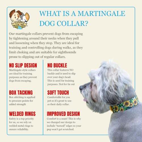Country Brook Petz - HossFit Jr Wide Martingale Dog Collar - Country and Western Collection Featuring Rustic Designs (Dairy Fields, Medium) - color: Dairy Fields, size: Medium (Pack of 1)