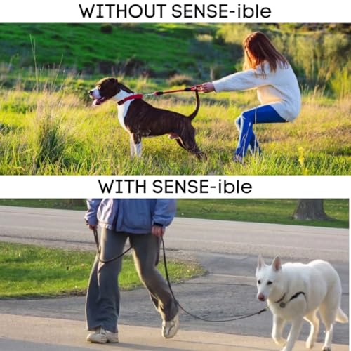 Softouch Sense-ible No-Pull Dog Harness (Red, Extra Small) - color: Red, size: Extra Small Standard