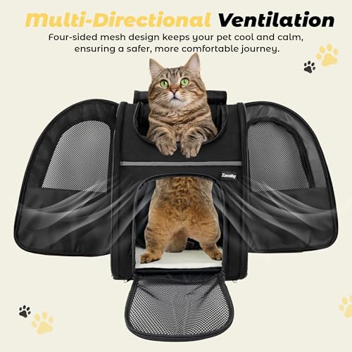 Zavothy Cat Backpack Carrier – Expandable Airline Approved Pet Travel Bag for Cats & Small Dogs, Breathable Mesh Pet Carrier Backpack with Padded Base (Black) - color: Black