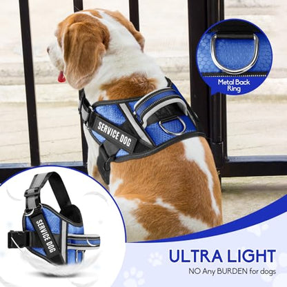 Service Dog Vest Harness and Leash Set, Animire in Training Dog Harness with 10 Dog Patches, Reflective Dog Leash with Soft Padded Handle for Small, Medium, Large, and Extra-Large Dogs - color: Blue, size: XXS