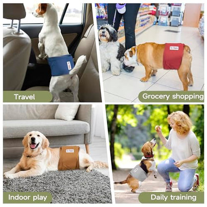 Male Dogs Diapers, Washable Reusable High Absorbing Boy Belly Bands Doggy Wraps Panties Doggie Puppy Pooping Potty Training Incontinence Marking XSmall(5 Pack) - color: Plain, size: X-Small (9"-11")